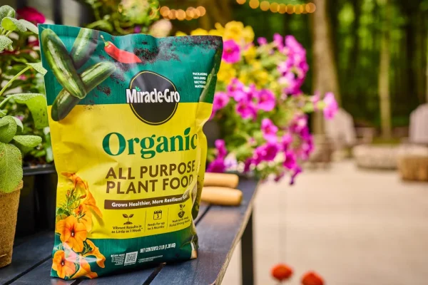 Plant Food for indoors and outdoors