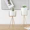 Succulent plant pot - Image 4