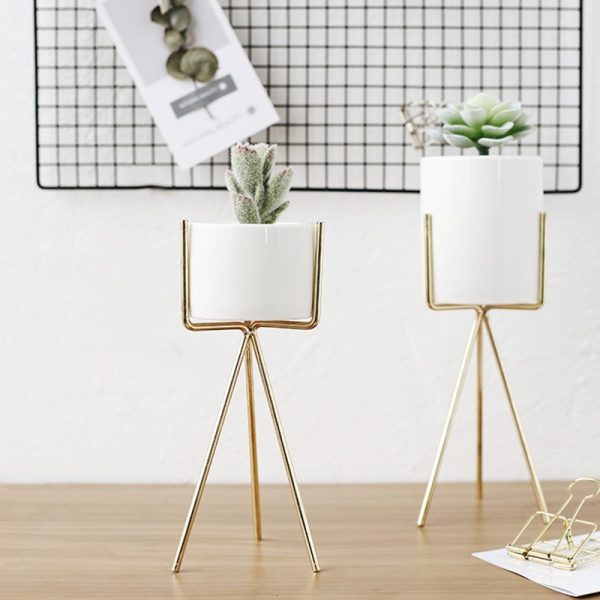 Succulent plant pot - Image 4