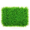 Simulation Plant Wall Decoration