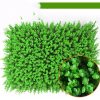 Simulation Plant Wall Decoration - Image 2