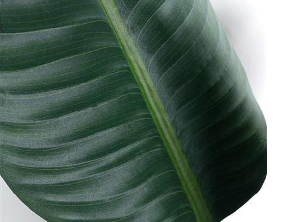 Simulated green plant decoration - Image 3
