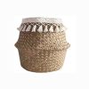 Bohemian Tassel Potted Plant - Image 5