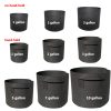 Non-woven plant bag - Image 4