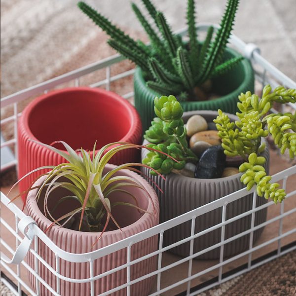 Creative Morandi Color Succulent Cylindrical Flower Pot Simple Style Plant Potted Plant - Image 4