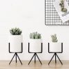 Succulent plant pot - Image 3