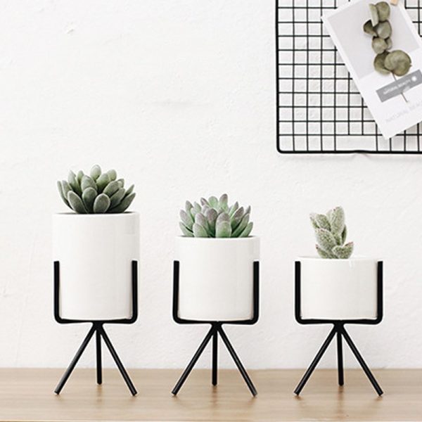 Succulent plant pot - Image 3