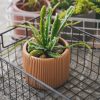 Creative Morandi Color Succulent Cylindrical Flower Pot Simple Style Plant Potted Plant - Image 7