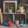 Creative Morandi Color Succulent Cylindrical Flower Pot Simple Style Plant Potted Plant - Image 5