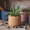 Creative Morandi Color Succulent Cylindrical Flower Pot Simple Style Plant Potted Plant - Image 6