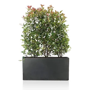 65cm Long Trough Garden Planter, Dark Grey Reinforced Stone Rectangular Outdoor Large Plant Pot L65 W19 H30 cm, 37L